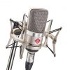 Neumann TLM 102 L/D Condenser Microphone Studio Set (Nickel)