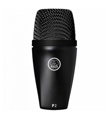 AKG P2 High-performance dynamic bass microphone