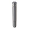 Audio-Technica AT2031 Cardioid Condenser End Address Microphone