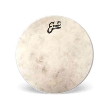 Evans TT18C7 Calftone Coated 18" Drumhead