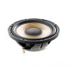FOCAL KIT SUB P25FSE SHALLOW Flax Evo 10inch Shallow Subwoofer