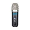 Hybrid C2-USB Condenser USB microphone