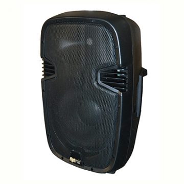 Hybrid PM12 12" 170W Passive Speaker