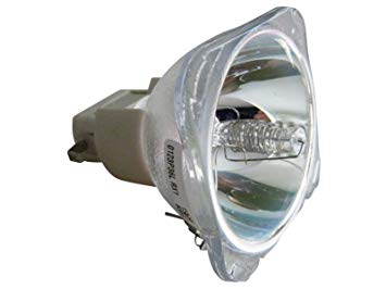Hybrid HMH230 REPLACEMENT GLOBE