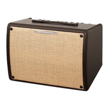 Ibanez T30II T-Series Troubadour 30 Watt Acoustic Guitar Combo Amp