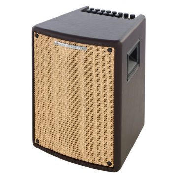 Ibanez T80II T-Series Troubadour 80 Watt Acoustic Guitar Combo Amp