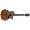 Ibanez AE245-NT (AE Series) Acoustic Electric Guitar