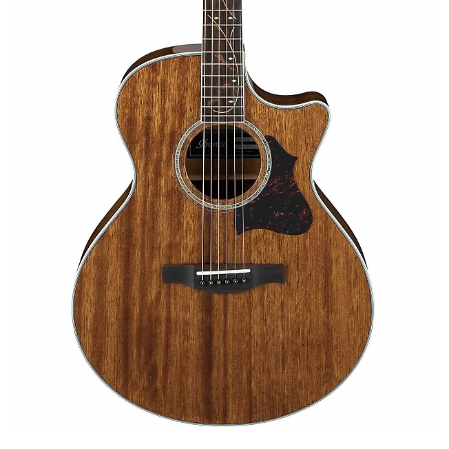 Ibanez AE245-NT (AE Series) Acoustic Electric Guitar - Son Sound