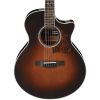 Ibanez AE205-BS AE Series Accoustic Electric Guitar