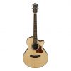 Ibanez AE205JR-OPN AE Series Acoustic Electric Guitar with Bag