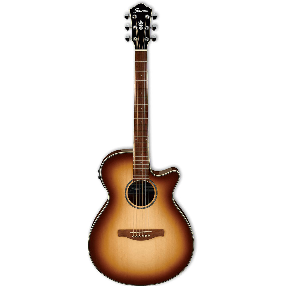 Ibanez AEG10II-NNB AEG Series Acoustic Electric Guitar