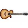 Ibanez AEG10II-NNB AEG Series Acoustic Electric Guitar