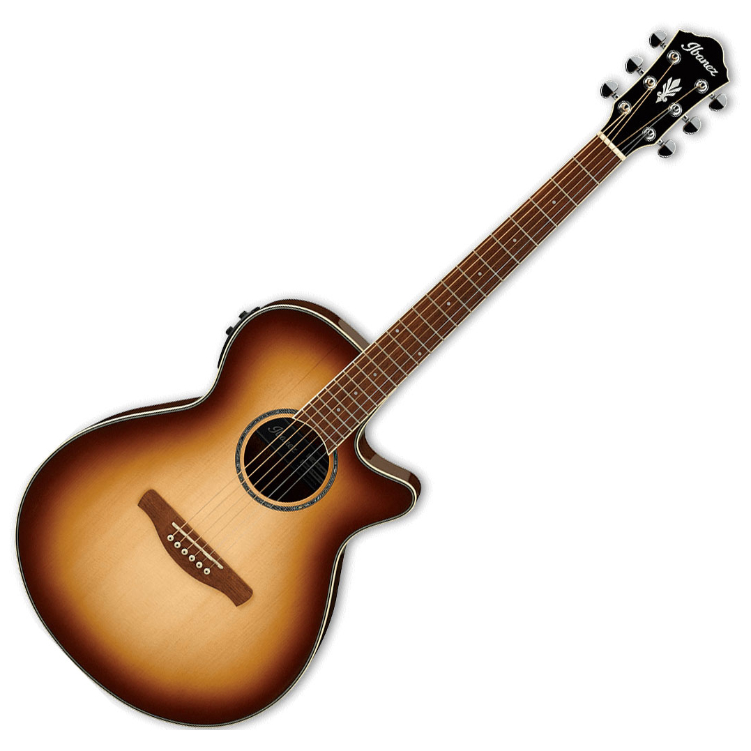 Ibanez AEG10II-NNB AEG Series Acoustic Electric Guitar - Image 3