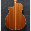 Ibanez AEG10II-NNB AEG Series Acoustic Electric Guitar