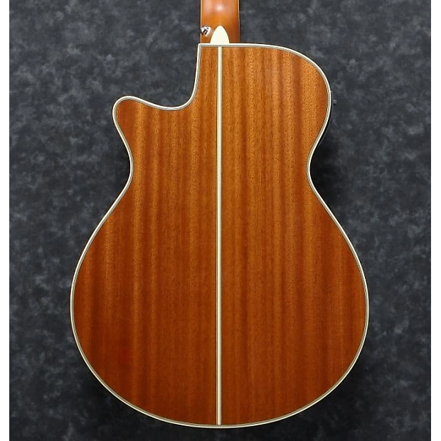 Ibanez AEG10II-NNB AEG Series Acoustic Electric Guitar - Image 4