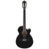 Ibanez AEG10NII-BK AEG Series Nylon Acoustic Electric Guitar
