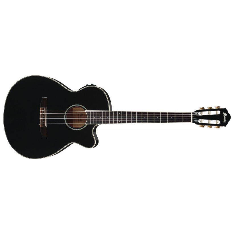 Ibanez AEG10NII-BK AEG Series Nylon Acoustic Electric Guitar - Image 2