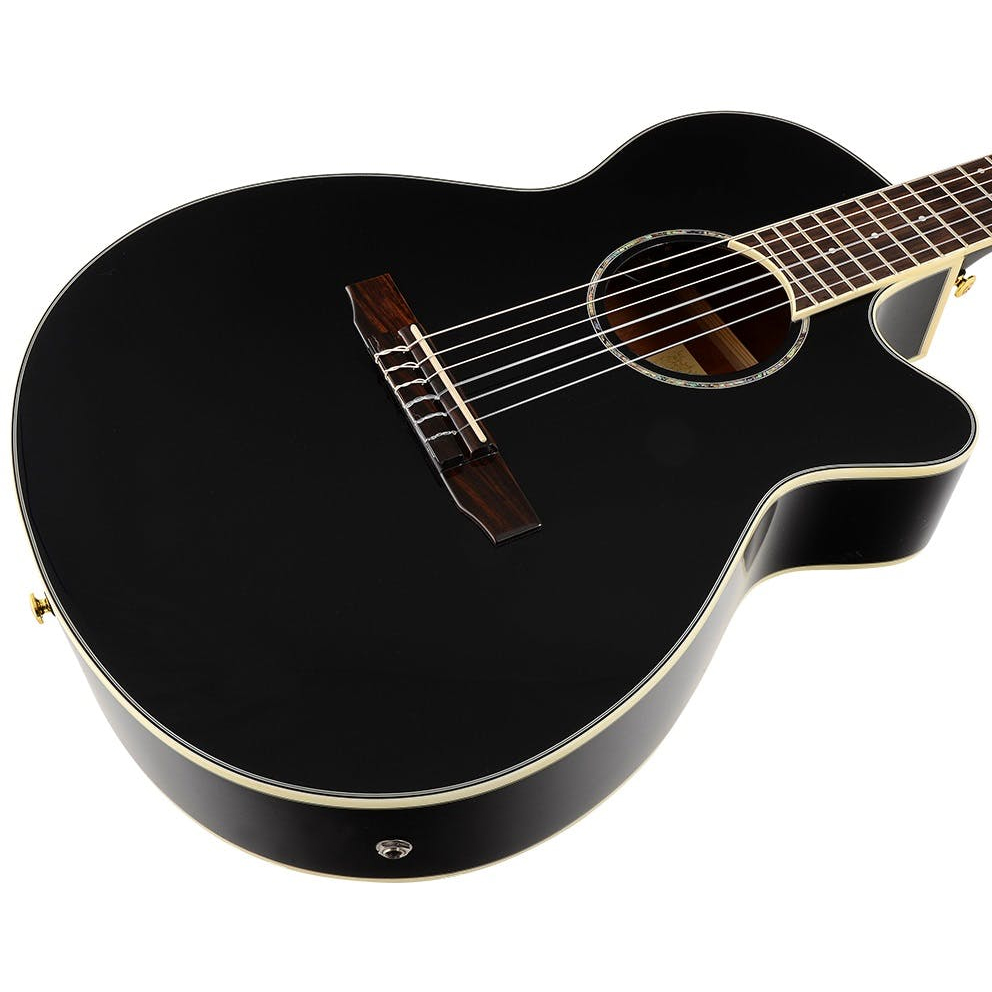 Ibanez AEG10NII-BK AEG Series Nylon Acoustic Electric Guitar - Image 3