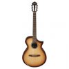 Ibanez AEWC300N-NNB AEW Series Classical Acoustic Electric Guitar
