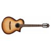 Ibanez AEWC300N-NNB AEW Series Classical Acoustic Electric Guitar