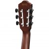 Ibanez AEWC300N-NNB AEW Series Classical Acoustic Electric Guitar