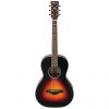 Ibanez AN60-BSM Artwood Series Parlor Acoustic Guitar