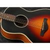 Ibanez AN60-BSM Artwood Series Parlor Acoustic Guitar