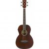 Ibanez AVNB1E-BV Parlor Acoustic Electric Bass Guitar