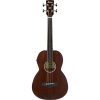 Ibanez AVNB1FE-BV Parlor Fretless Acoustic Electric Bass Guitar