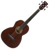 Ibanez AVNB1FE-BV Parlor Fretless Acoustic Electric Bass Guitar