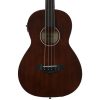 Ibanez AVNB1FE-BV Parlor Fretless Acoustic Electric Bass Guitar