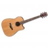 Ibanez AW65ECE-LG Artwood AW Series Dreadnought Acoustic Electric Guitar