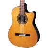 Ibanez GA6CE-AM Classical Series Nylon Acoustic Electric Guitar