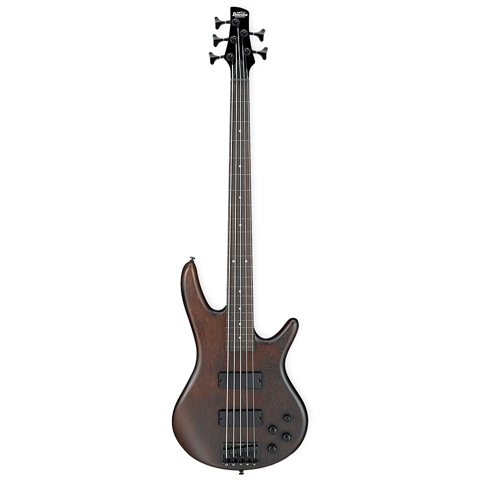 Ibanez GSR205BF-WNF Gio Series 5 String Fretless Bass Guitar