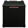 Ibanez P20 Promethean 8 Inch 20 watt Bass Guitar Amplifier Combo