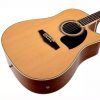 Ibanez PF17ECE-LG PF Performance Series Dreadnought Acoustic Electric Guitar