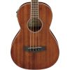Ibanez PNB14E-OPN PN Series Acoustic Electric Bass Guitar