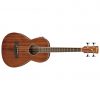 Ibanez PNB14E-OPN PN Series Acoustic Electric Bass Guitar
