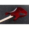 Ibanez RG421-BBS RG Series Electric Guitar