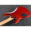 Ibanez RGEW521FM-NTF RG Series Electric Guitar