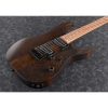 Ibanez RGRT421-WNF RG Series Electric Guitar