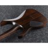 Ibanez RGRT421-WNF RG Series Electric Guitar