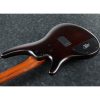 Ibanez SR30TH5II-DEF SR Series 30th Anniversary 5 String Semi-Hollow Body Bass Guitar