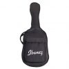 Ibanez V50NJP-VS Jampack Series Dreadnought Acoustic Guitar Starter Pack