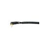 MOGAMI W3161 AES/EBU Digital Audio Multicore Cable