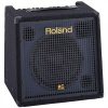 Roland KC-350 4-Ch Mixing Keyboard Amplifier