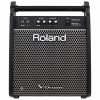 Roland PM-100 80-watt 1×10″ Personal Drum Monitor