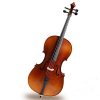 Sandner 200 Student 4/4 Cello Outfit with Bow & Bag