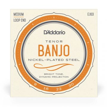 D'Addario EJ63 9-30 Tenor Banjo Nickel Medium 4 String Loop End Banjo Strings