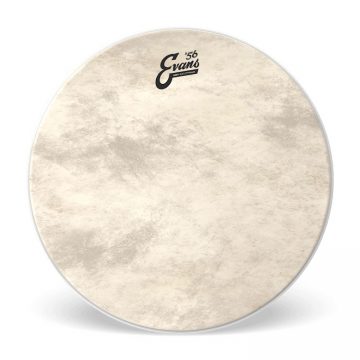 Evans BD20GB4C EQ4 Coated 20" Drumhead
